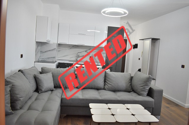 One bedroom apartment for rent near Delijorgji Complex, in Tirana, Albania